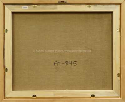  / Hokejový zápas / František  Kardaus