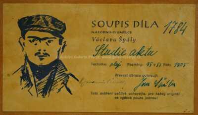  / Studie aktu / Václav Špála