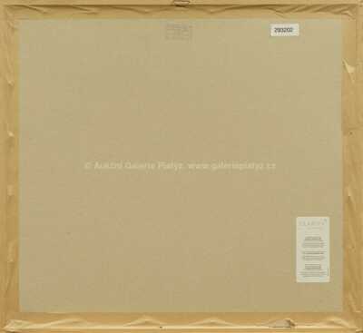  / Tržiště na Staroměstském náměstí / František Tavík Šimon