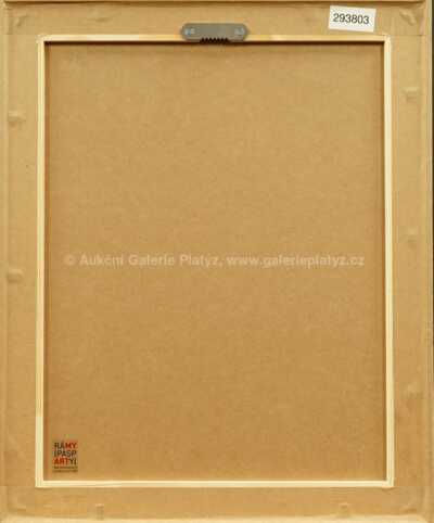  / Dívčí půlakt / Václav Špála