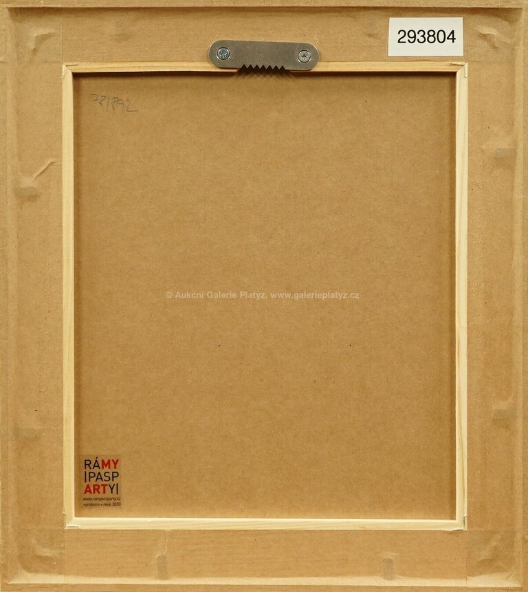  / Labuť / Václav Špála