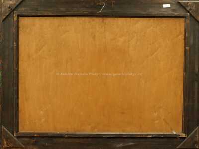  / Bouře nad krajinou / Viktor  Rolín