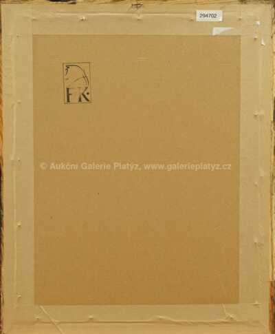  / Ve výhni tropů / Zdeněk Burian