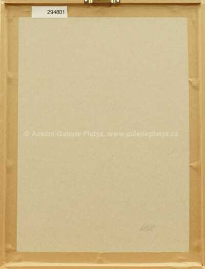  / Kormidelník Vlnovský 1 / Jiří Trnka