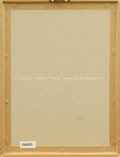  / Kormidelník Vlnovský 3 / Jiří Trnka