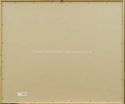  / Návštěva papeže v Newarku / Kamil Kubík