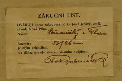  / Heřmaničky u Tábora / Ota Bubeníček