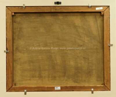  / Patníky / Jaroslav Grus