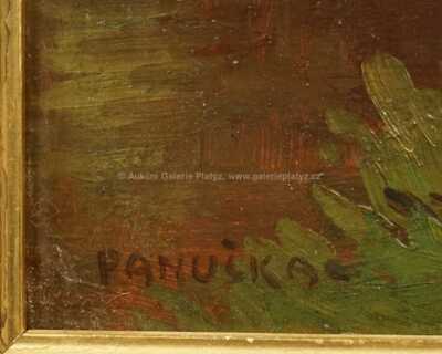  / Lesní tůň / Jaroslav Panuška