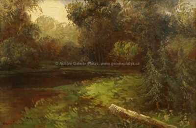  / Lesní tůň / Jaroslav Panuška