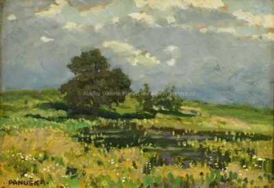  / Pod Kochánovem / Jaroslav Panuška