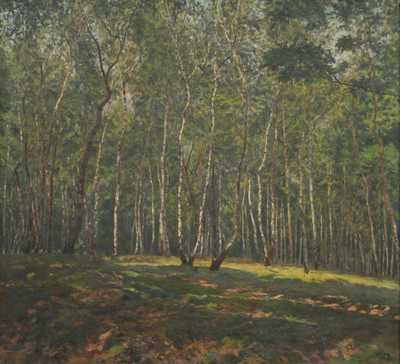  / Březový les /  Josef Holub