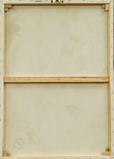  / Dívky s bílými závoji / Robert Jiran