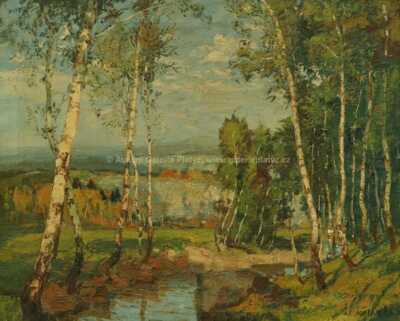  / Potok pod břízami / Alois Kalvoda