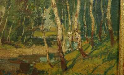  / Potok pod břízami / Alois Kalvoda