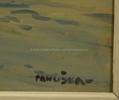  / Hory v zimě / Jaroslav Panuška