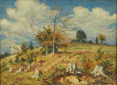  / Pařezy na stráni / Ota Bubeníček