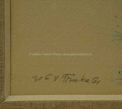  / Sen noci svatojánské / Jiří Trnka