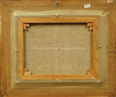  / Kopcovitá krajina / Desiderius Orban