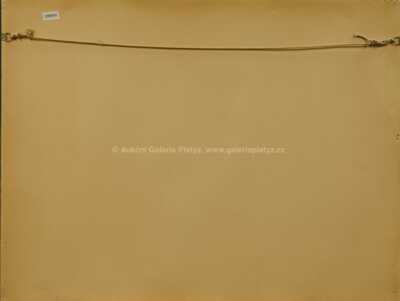  / Botticelli a Simonetta / Jiří Anderle