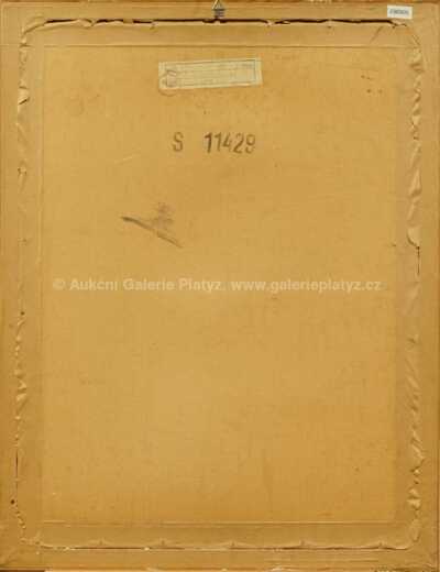  / Dívčí akt / Jan  Smetana