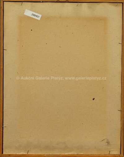  / Na poli slávy č. 11 / Věnceslav Černý