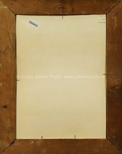  / Pouští a pralesem č. 18 / Věnceslav Černý