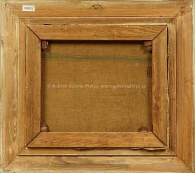  / Z Provence / Alois Kohout (Lecoque)