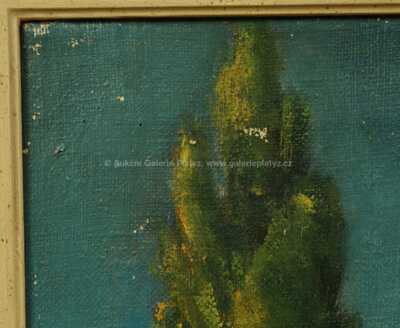  / Z Provence / Alois Kohout (Lecoque)