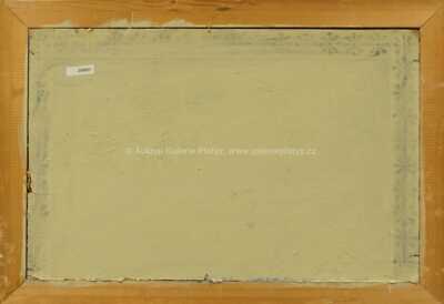  / Zima / Leopold Musil