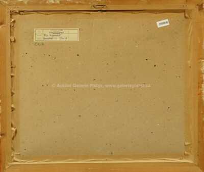  / Na Kampě / Jaromír Kunc