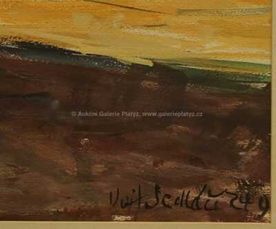  / Na poli / Vojtěch  Sedláček