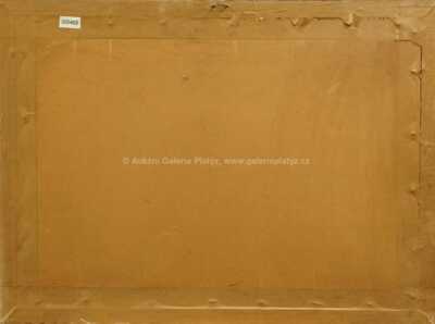  / Na poli / Vojtěch  Sedláček