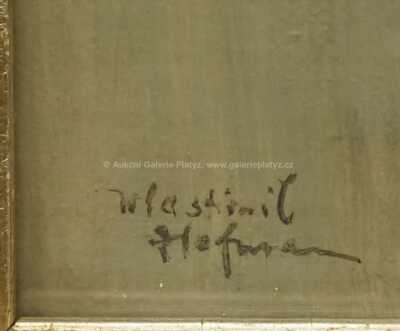  / Akt / Vlastislav Hofman