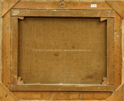  / Zátiší /   Autor neurčen