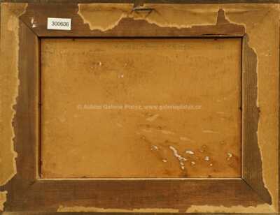  / Hamry u Hlinska / Jan Honsa