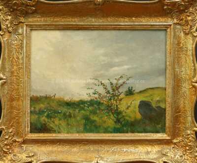 Gustav Porš - Rozkvetlý keř