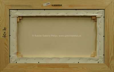  / Zlatá ulička / František Ringo Čech