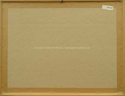  / Bílé rytmy na černé / František Kupka