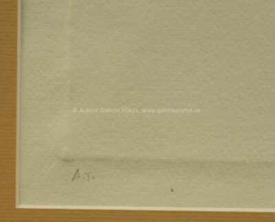  / Astrologie / Olbram Zoubek