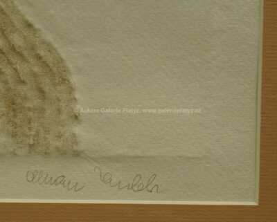  / Astrologie / Olbram Zoubek