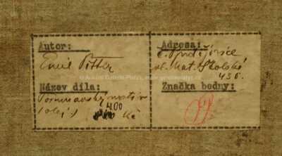  / Pošumavský motiv / Emil Pitter