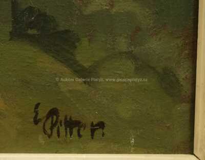  / Pošumavský motiv / Emil Pitter