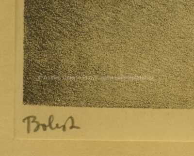  / Bolest / Jan  Zrzavý