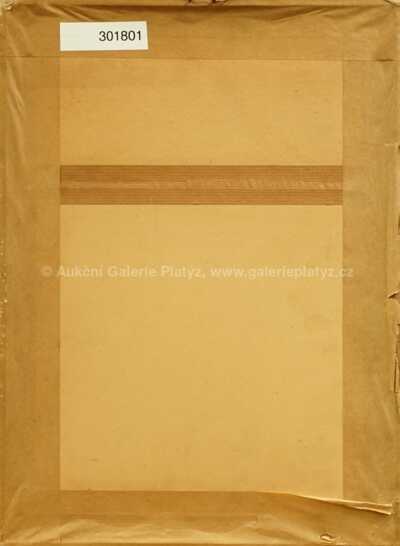  / Bolest / Jan  Zrzavý