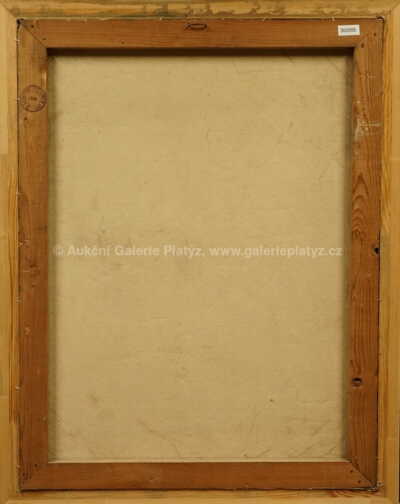  / Harlekýn / Václav Haise