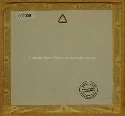  / Dívka se závojem / František  Tichý