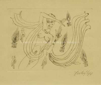  / Dívka se závojem / František  Tichý