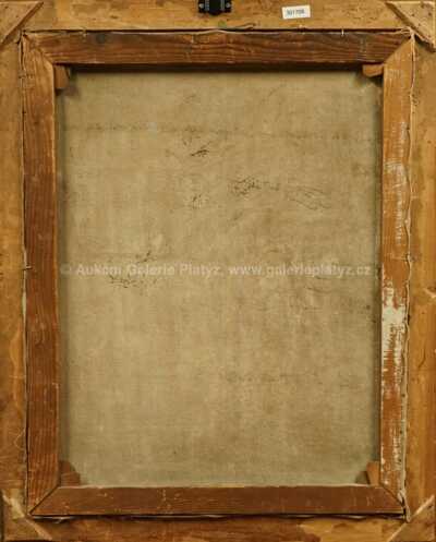  / Kamenitý potok / Angelo Jan Zeyer