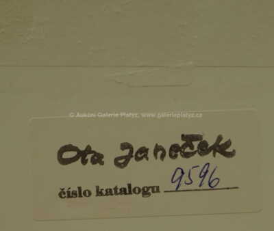  / Ptáček pod šípkovým keřem / Ota Janeček